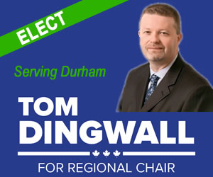 Elect Tom Dingwall Regional Chair